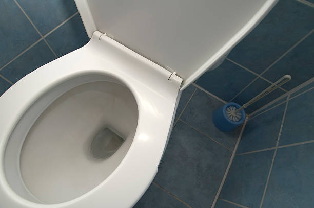 istock toilet detail 119581818