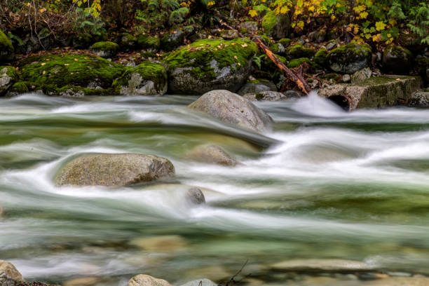 istock long exposure of creek water 1195820825