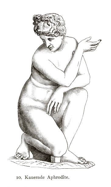 ilustraciones, imágenes clip art, dibujos animados e iconos de stock de xiloque de la estatua de mármol crouching afrodita - aphrodite