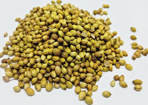 Coriander is an annual herb in the family Apiaceae. It is also known as Chinese. Coriander is commonly found both as whole dried seeds and in ground form. Roasting or heating