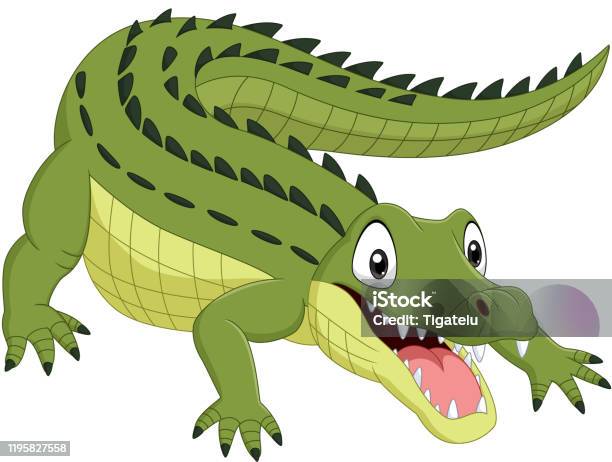 Cartoon Crocodile Isolated On White Background Stock Illustration -  Download Image Now - Africa, Animal, Animal Head - iStock