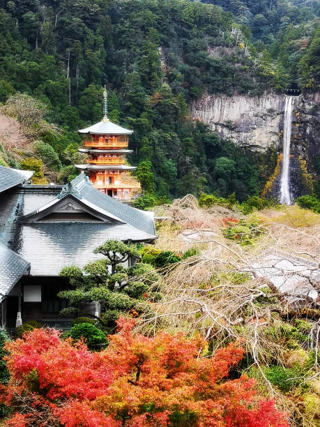tempio nachisan seigantoji e cascata nachi no taki con stagione autunnale - kii foto e immagini stock