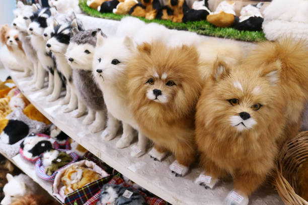 istock Toy dogs 1195832458