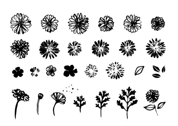 ilustraciones, imágenes clip art, dibujos animados e iconos de stock de silueta de ilustración floral - flower illustration and painting single flower textile