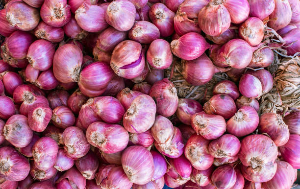 istock Pile of shallots or red onions 1195834667