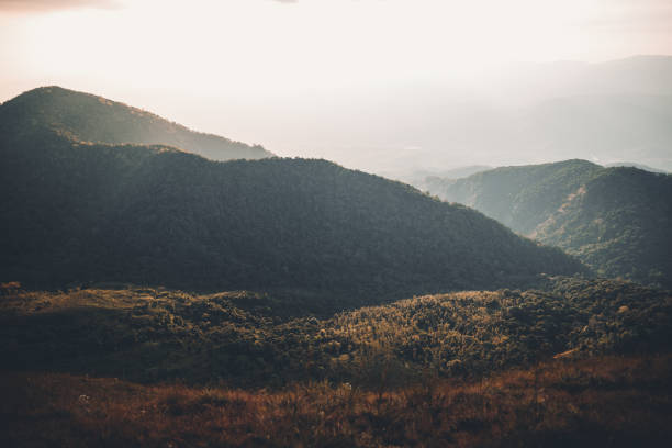 istock landscape mountains forests sky in the evening sunset 1195838385