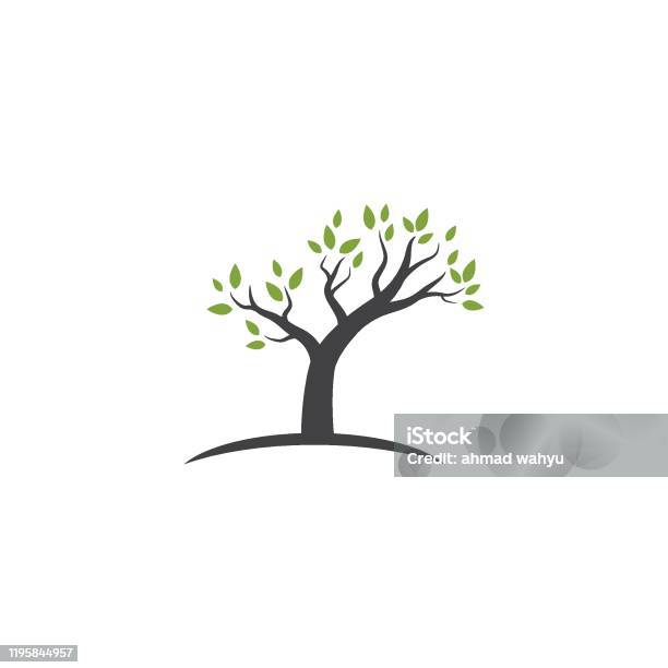 Abstract Tree Model Template Tree Template Stock Illustration - Download Image Now - Branch - Plant ...
