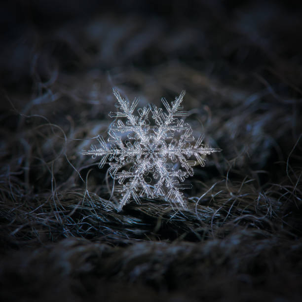 istock Snowflake glowing on dark textured background 1195848513