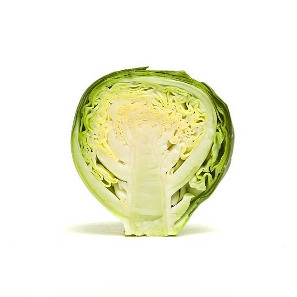 Sprouts stock photo