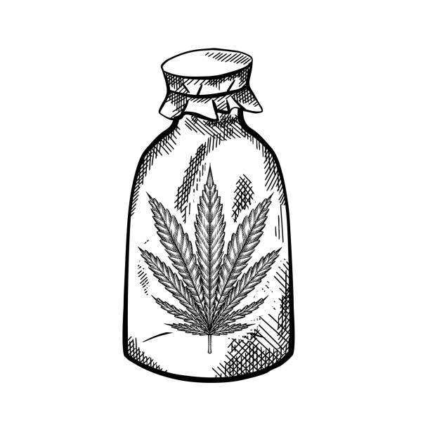 illustrazioni stock, clip art, cartoni animati e icone di tendenza di erboristeria naturale. bottiglia di vetro con una foglia di marijuana. schizzo in bianco e nero con un portello. oggetto vettore di incisione - 5442
