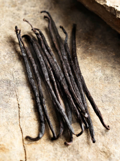 Vanilla Beans, Vanilla dry fruit,Dried Herbs and Spices: Vanilla, Vanilla,  Background, Cut Out, Plant Pod,stone,Studio Shot, Spice,Brown,
Dry, Healthcare And Medicine, Medicine, vanilla orchid stock pictures, royalty-free photos & images
