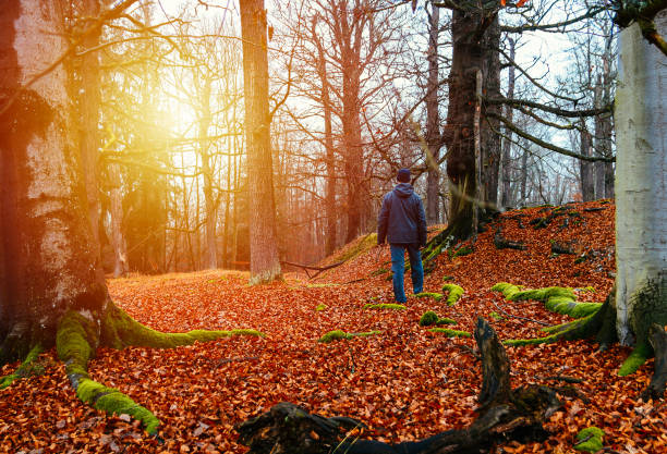 istock Young man standing in jacket,  pants and cap with trees, red leaves and sun. 1195857904