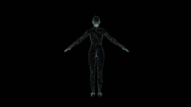 istock Human Female Body Hologram Wireframe. Nice 3D Render on a black background 1195861376