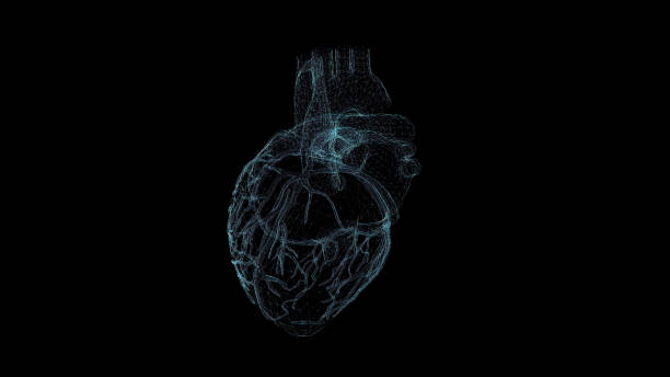 istock Heart Hologram Wireframe. Nice 3D Render on a black background 1195864939