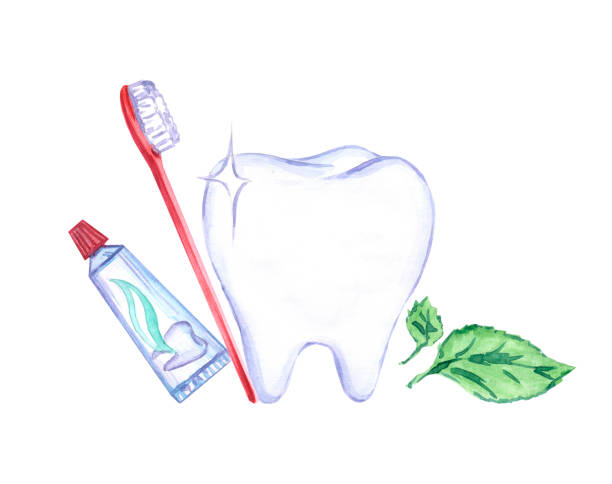 illustrazioni stock, clip art, cartoni animati e icone di tendenza di arte odontoiatria. motivo dei denti. dentista. spazzolino. dentifricio. illustrazione ad acquerello. denti sonori. bel sorriso. infermiera in uniforme. medicina. salute umana. - dentist office illustration and painting dental equipment dental hygiene