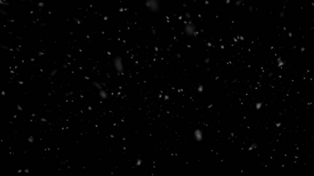 istock Falling slow snow isolated on black background in 4K to be used for composing, motion graphics, Large and small snow snowflakes, Isolated falling snow, 1195866589