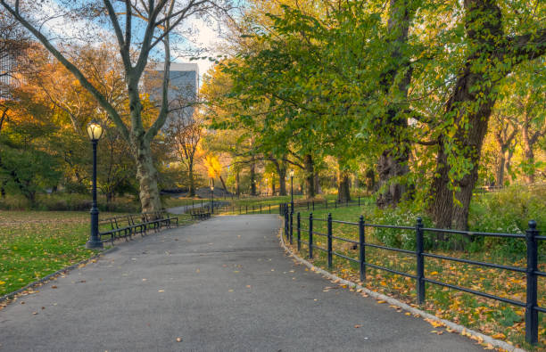 istock Autumn in Central Park 1195869034