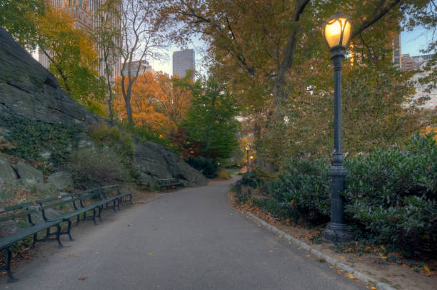 istock Autumn in Central Park 1195869081