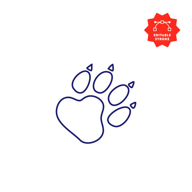 Wolf Paw Print Drawing Illustrations, Royalty-Free Vector Graphics & Clip  Art - iStock