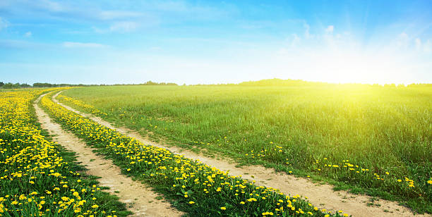 istock Rural road and sun. 119587356