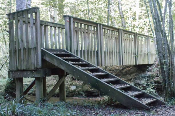 istock Wooden bridge in the forest with markings 1195874260