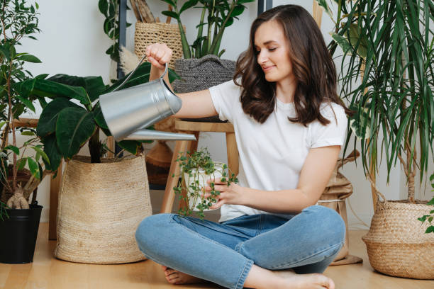 Young brunette sitting on a floor, watering potted plants in her home greenhouse stock photo