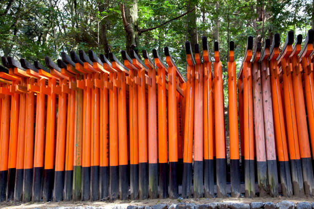 Kyoto, Japan April 1st, 2012. Vermilion colored torii gates at the Fushimi Inari Shrine in Kyoto. The Fushimi Inari-Taisha Shrine in Kyoto, Japan is famous for it's thousand or so vibrant orange colored torii gates. It is the most important Inari Shrine in Japan.