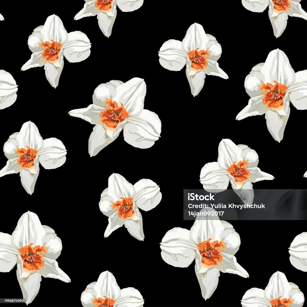 Narsiccus Pattern Elegance Seamless Pattern With Flowers Narcissus On Spring Background ...