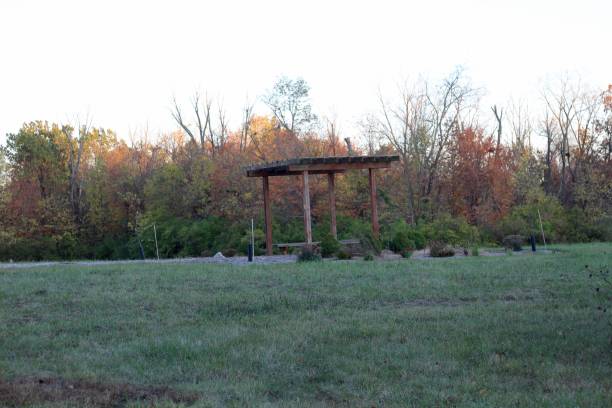 istock Empty Wood Bench in the Field 1195875141