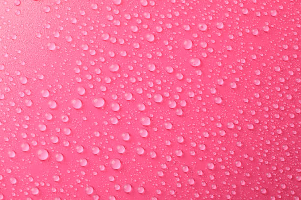istock Many water drops on pink background. Texture background. 1195879763