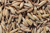 Raw dry fennel seeds, spice for cooking, baking and flavouring desserts. Background for desing about gastronomy and cuisine. Horizontal. Macro.