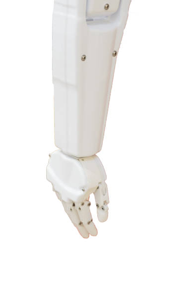 istock Robot arm isolated on a white background. 1195888644