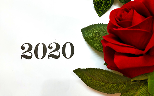 New year greetings with roses on one side and white background
