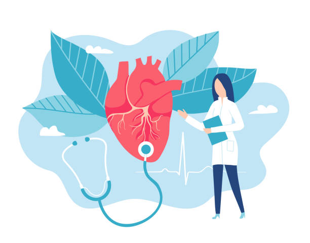 ilustrações, clipart, desenhos animados e ícones de cardiologista ouve um batimento cardíaco. coração saudável. cardiologia - equipment listening red stethoscope