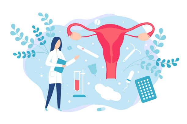 gynäkologie und frauengesundheit. beratung mit einem gynäkologen oder reproduktologen - menstruation stock-grafiken, -clipart, -cartoons und -symbole