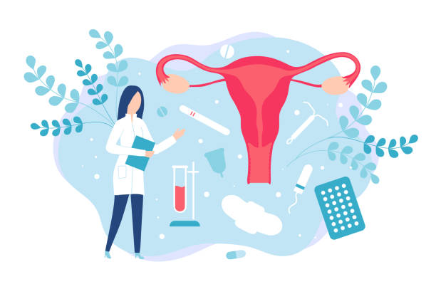 stockillustraties, clipart, cartoons en iconen met gynaecologie en vrouwen gezondheid. overleg met een gynaecoloog of reproductoloog - anticonceptie