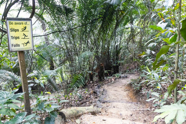 istock Warning sign of slips, trips, falls in hiking tropical forrest 1195894821