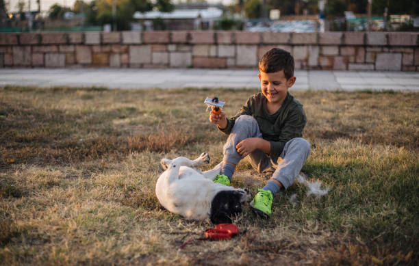 istock Playful dog and little boy in a park 1195901949