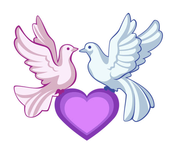 Ilustración de Dos Palomas En El Corazón y más Vectores Libres de Derechos de Paloma - Ave - Paloma - Ave, Azul, Paloma torcaz - Ave - iStock Ilustración de Dos Palomas En El Corazón y más Vectores Libres de Derechos de Paloma - Ave - Paloma - Ave, Azul, Paloma torcaz - Ave - iStock