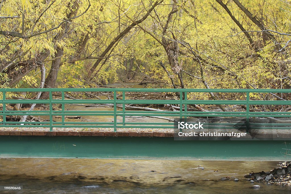 Fiume Boise Greenbelt - Foto stock royalty-free di Albero