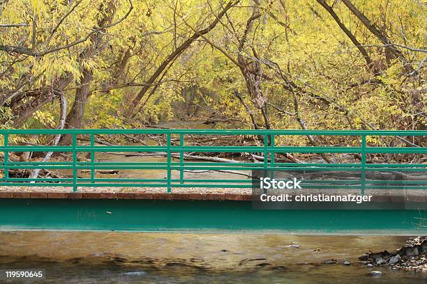 Fiume Boise Greenbelt - Fotografie stock e altre immagini di Albero - Albero, Ambientazione esterna, Autunno