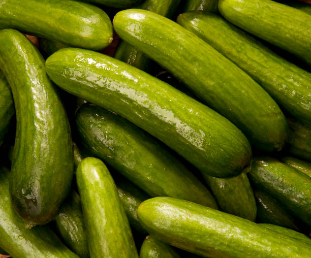 istock Cucumber Freshly Harvested Vegetables 1195908904