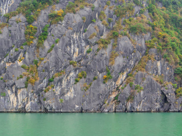 istock Halong Bay, Vietnam 1195911132