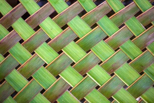 istock diagonal background from interwoven bamboo leaves 1195912215