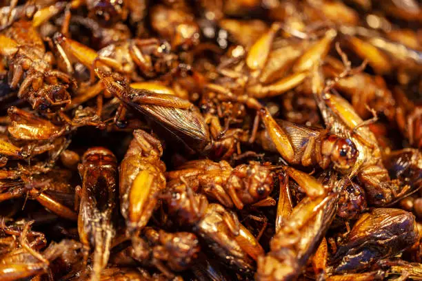 Photo of exotic asian food, fried grasshoppers, Fried grasshoppers is a popular street food