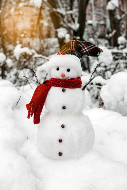 istock Smiling snowman among winter park 1195913246