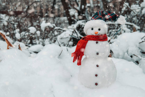istock Smiling snowman among winter park 1195913304