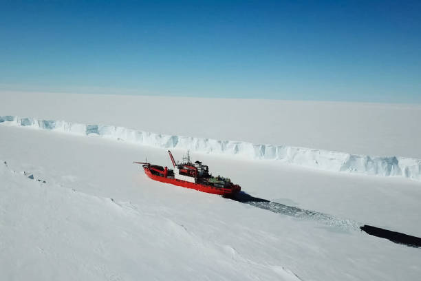 istock Ice-enpalled naldo, ice breaking ship. 1195915394