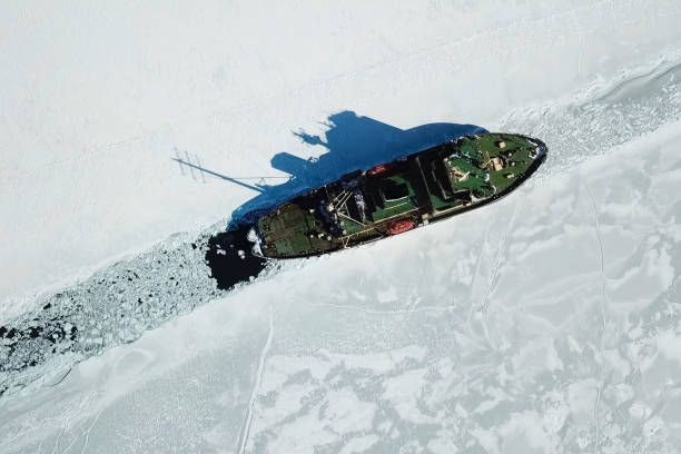 istock Ice-enpalled naldo, ice breaking ship. 1195915399