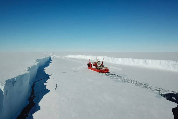 istock Ice-enpalled naldo, ice breaking ship. 1195915402